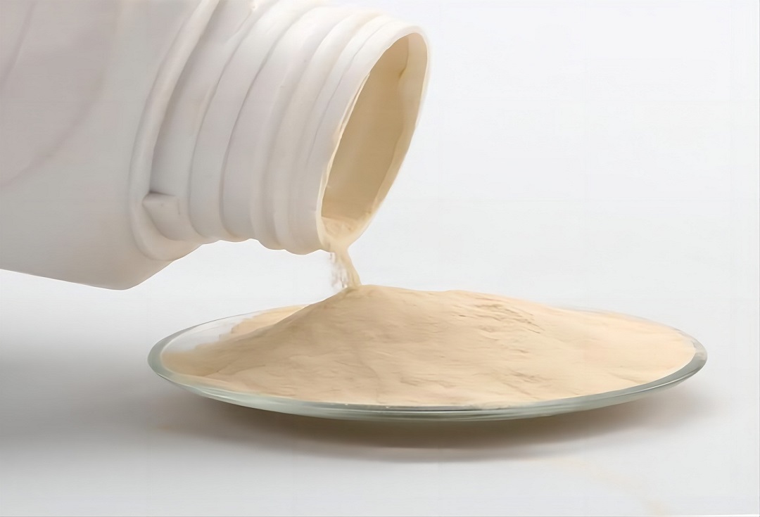 Comment préparer un milieu de poudre sèche en liquide ?