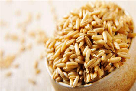 Protéger la sécurité alimentaire: détection rapide du désoxynivalinol (DON) avec Babio
