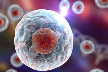 Babio lance une solution de giemsa de haute qualité B pour les diagnostics cytogénétiques et hématologiques avancés