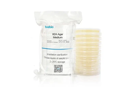 Médium d'agar R2A: l'étalon-or pour la surveillance microbienne dans les industries pharmaceutique, alimentaire et cosmétique