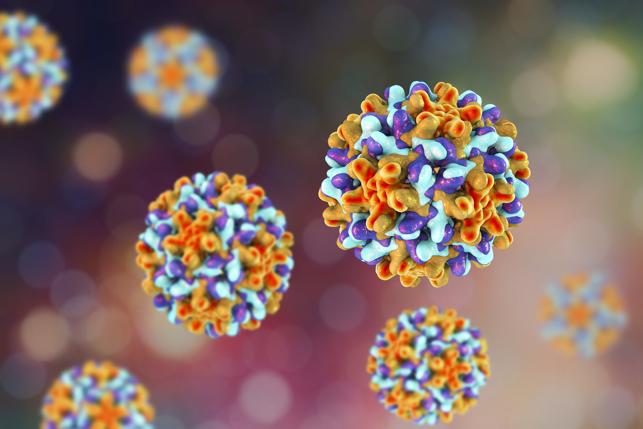 Babio lance un kit de détection d'antigène d'adénovirus haute performance pour répondre aux demandes de diagnostic mondiales