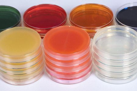 Agar de dextrose Sapouraud de haute qualité (SDA) par Babio