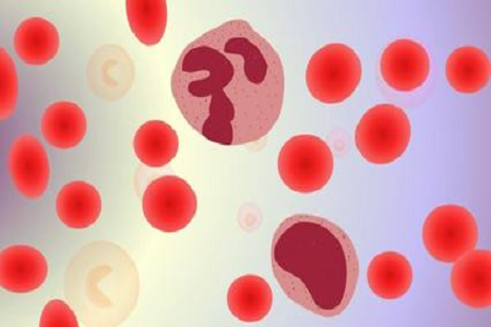 Babio améliore le diagnostic d'infection dans la circulation sanguine avec une bouteille d'hémoculture avancée