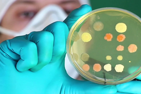 Babio lance un bouillon de bile de lactose vert brillant de haute qualité pour les essais de nourriture et d'eau
