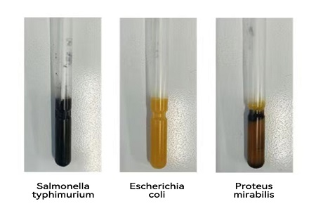 GMP-сертифицированные условия