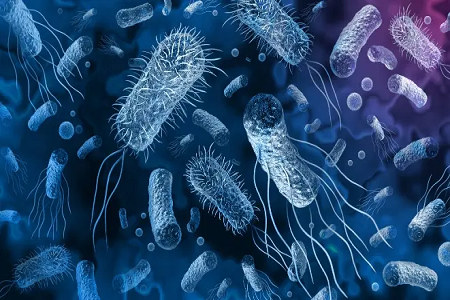 Présentation de la brosse cervicale stérile jetable pour cytologie de Baibo Biotechnology : précision dans les tests gynécologiques