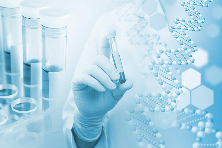 Kit de test H. pylori IgG/IgM : solution de dépistage rapide d'anticorps