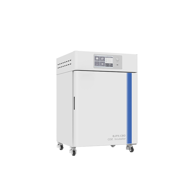 Incubateur de CO2 BJPX-C50 BJPX-C80 BJPX-C160 BJPX-C80S BJPX-C160S